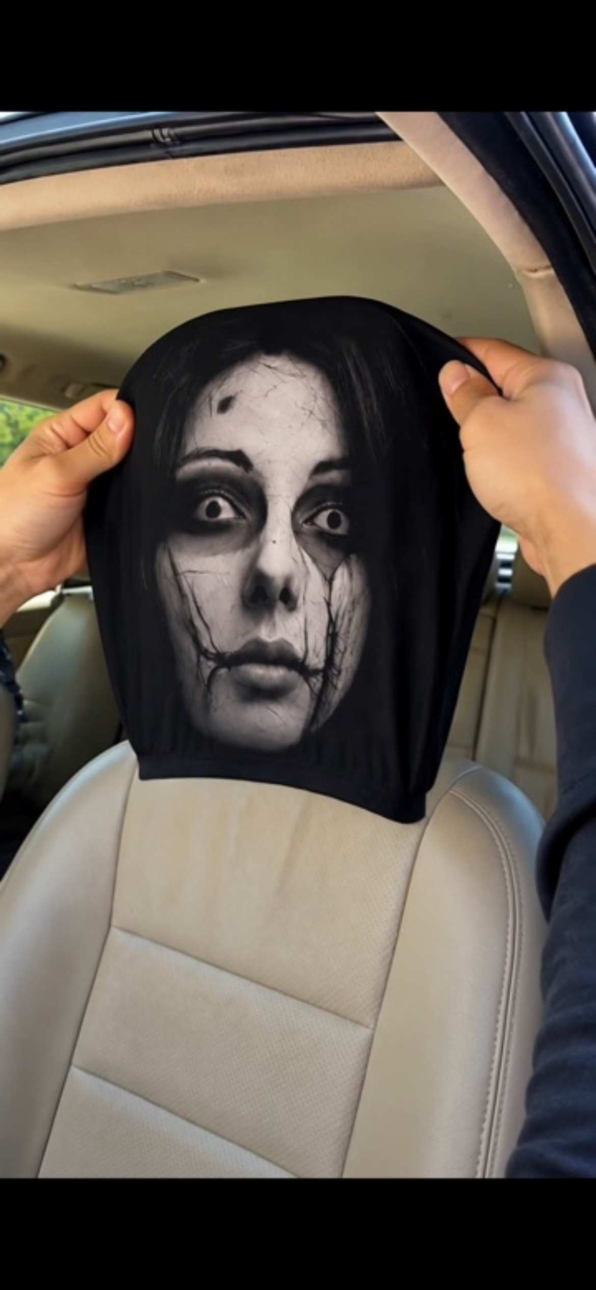 The Passengers Spooky Headrest Cover