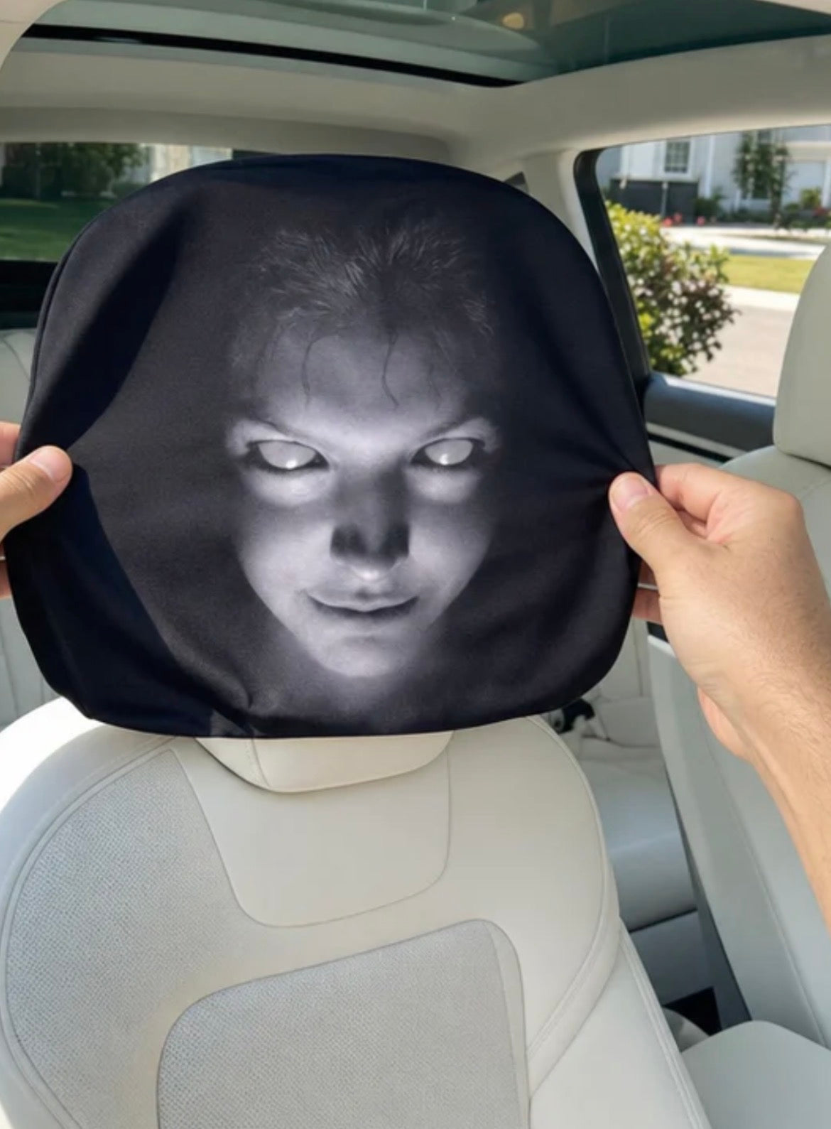 The Passengers Spooky Headrest Cover